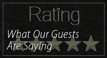What Our Guests Are Saying!